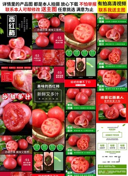 西紅柿詳情