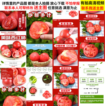 西紅柿詳情