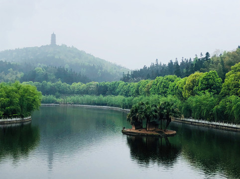 树林河流美景