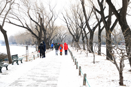 苏堤雪景