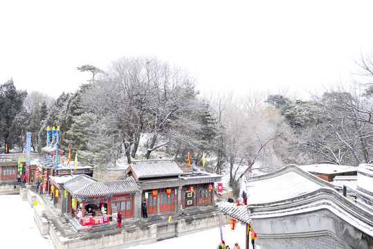 颐和园雪景