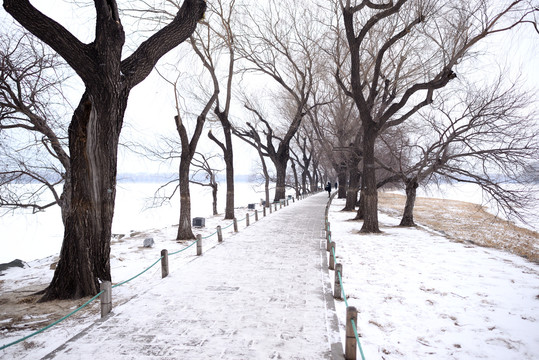 颐和园苏堤雪景