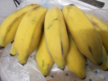 香蕉小米蕉