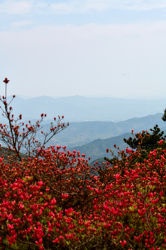 麻城龟峰山