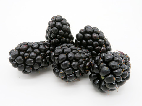 黑树莓