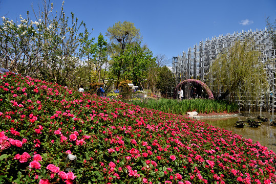 北京世界园艺博览会上海园