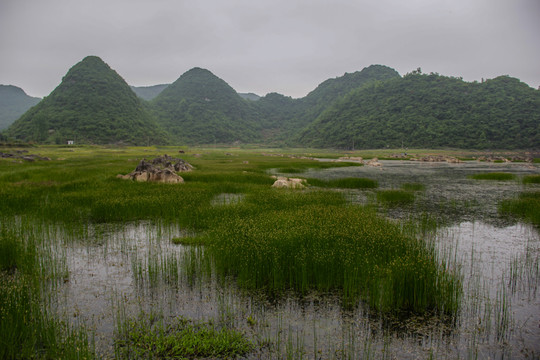 红枫湖