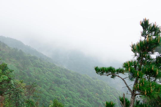 朦胧的群山