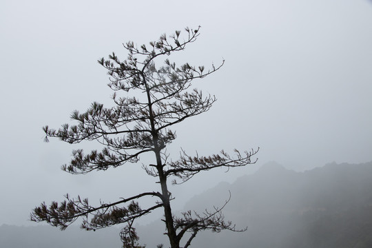 朦胧的群山