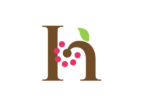 logo標(biāo)志商標(biāo)字體設(shè)計(jì)H