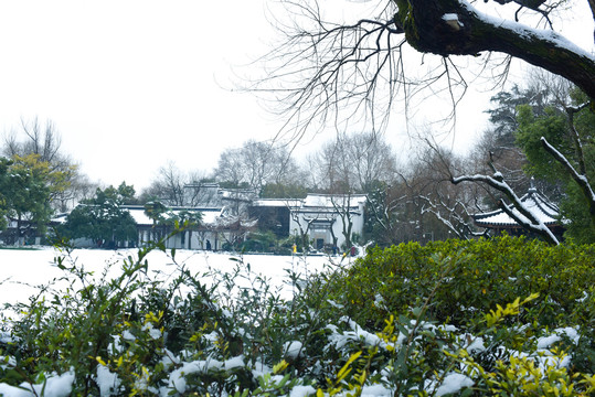 杭州西湖雪景