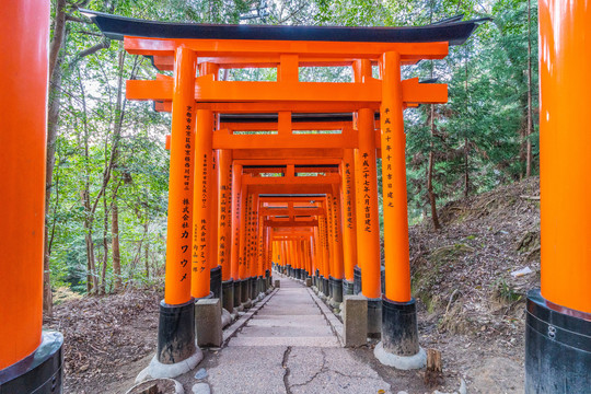 伏见稻荷神社千鸟居