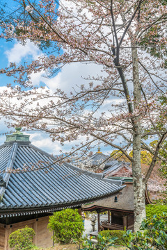 京都银阁寺建筑风景