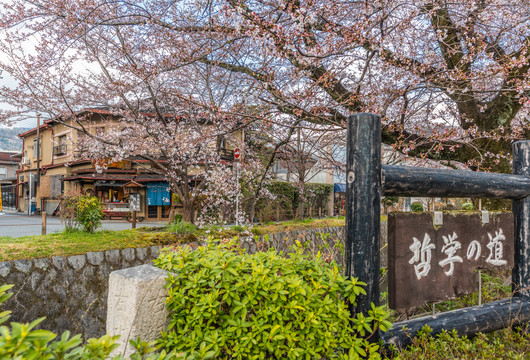 日本哲学道街景