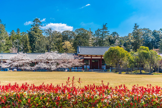 奈良东大寺建筑风光