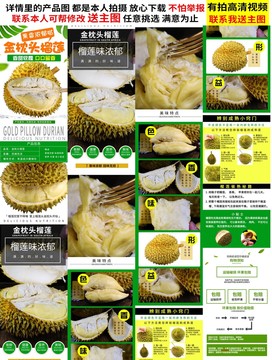 金枕榴蓮詳情