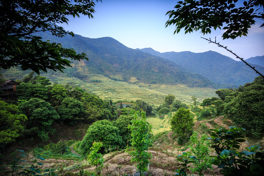 篁岭梯田风光