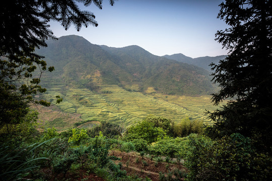 篁岭梯田风光