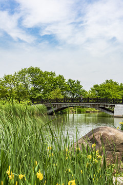 木桥风景