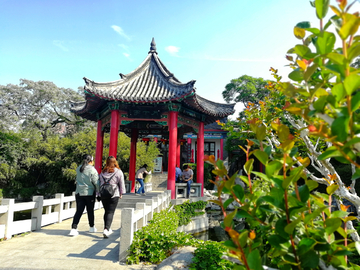 大明湖风景