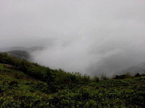 雾气蒸腾的山地