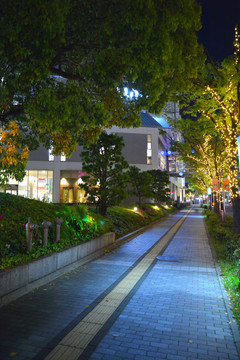 神户街头夜景