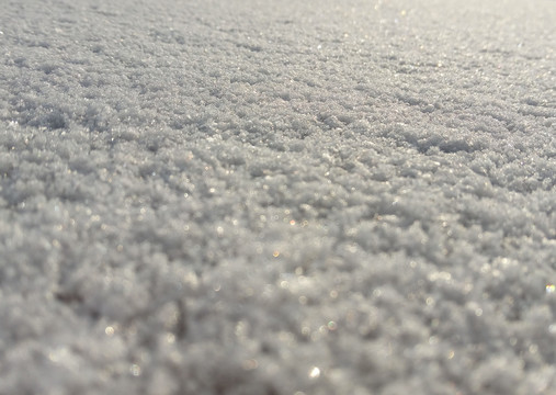 雪地