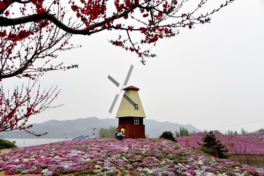 雨花谷