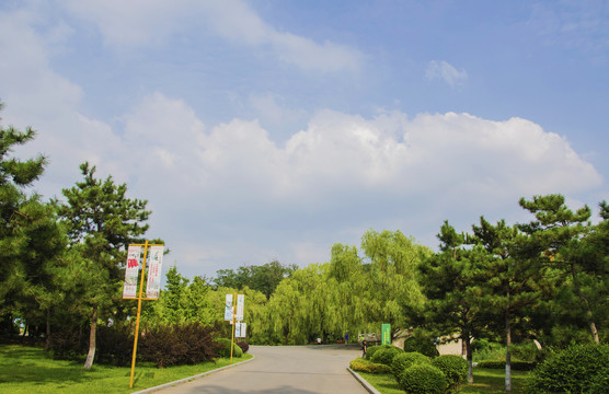 鞍山玉佛山上道路与漫天彩云