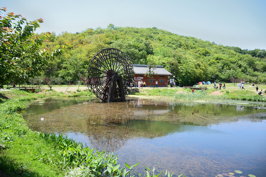 南京浦口老山不老村