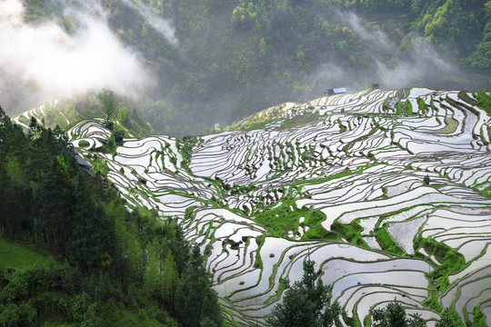 贵州加榜梯田风光