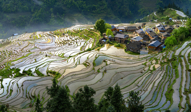 贵州加榜梯田风光