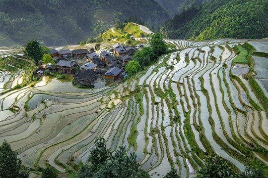 贵州加榜梯田风光