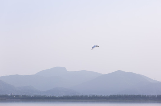 网湖风光