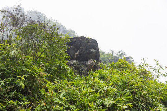 马山弄拉金刚山普陀寺护寺神虎石