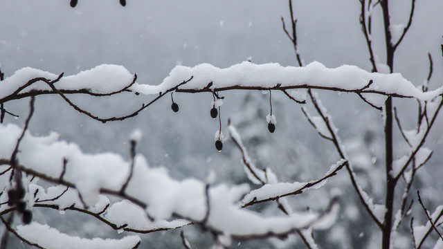 师宗雪景