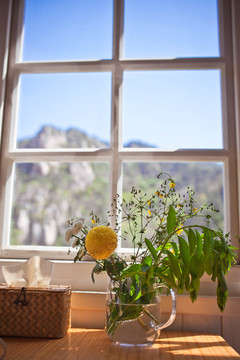 窗户和花