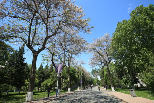 北京邮电大学校园