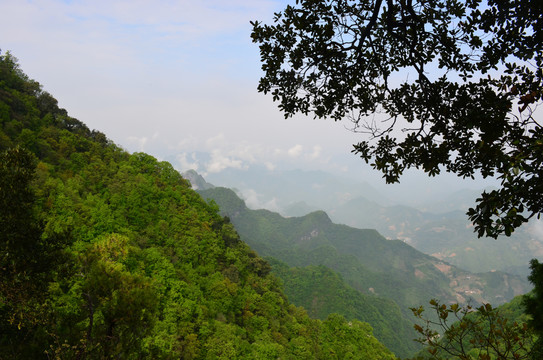 秦岭塔云山