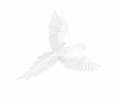 鸚鵡