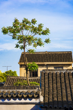 古建筑屋顶