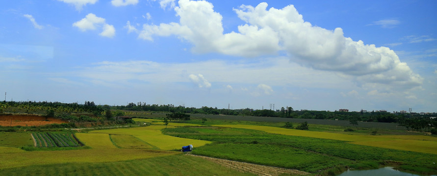 农田庄家田园风光