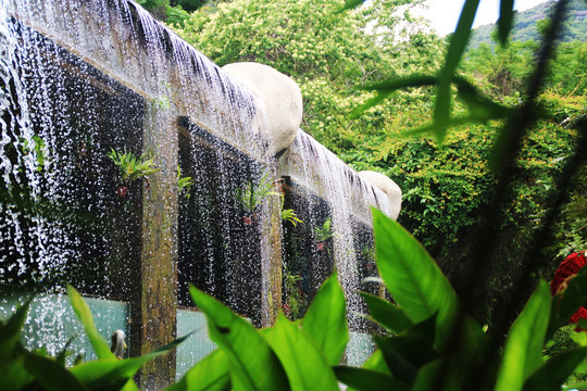 亚龙湾热带雨林瀑布