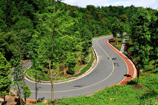 乡村柏油路面景观设计