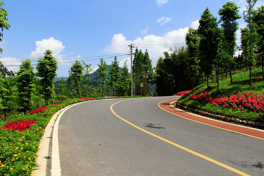 乡村柏油路面景观设计