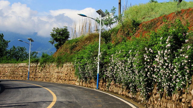 乡村景观柏油路面