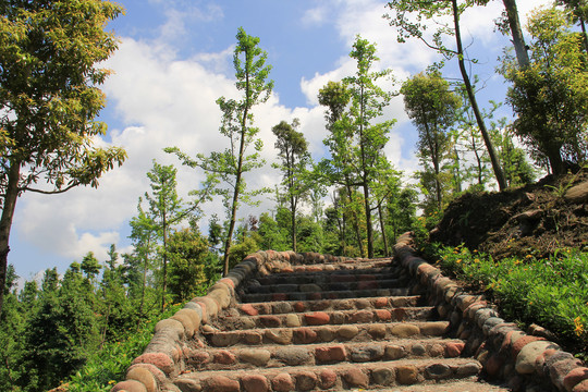 卵石路景观造型游道