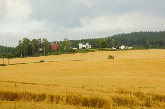 北欧农场北欧乡村