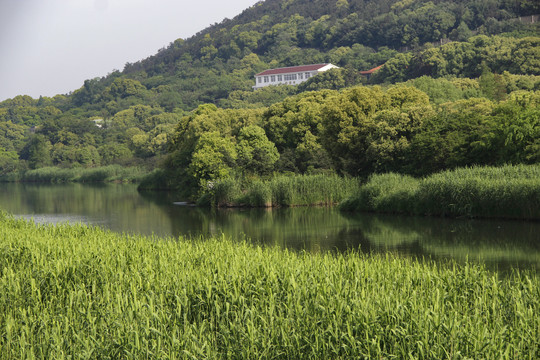 绿野山庄