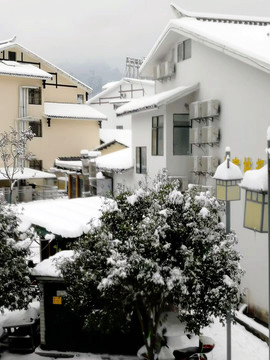 雪景